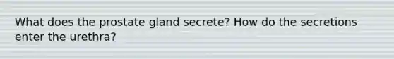 What does the prostate gland secrete? How do the secretions enter the urethra?