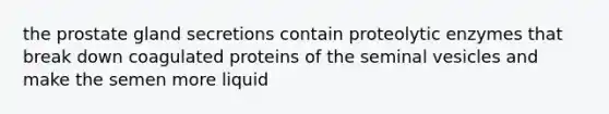 the prostate gland secretions contain proteolytic enzymes that break down coagulated proteins of the seminal vesicles and make the semen more liquid