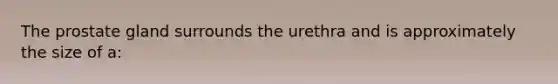 The prostate gland surrounds the urethra and is approximately the size of a: