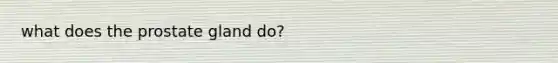 what does the prostate gland do?