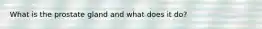 What is the prostate gland and what does it do?