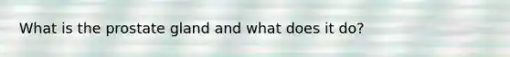 What is the prostate gland and what does it do?