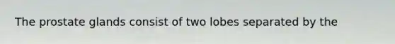 The prostate glands consist of two lobes separated by the