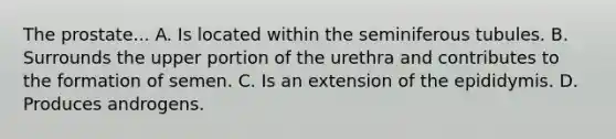 The prostate... A. Is located within the seminiferous tubules. B. Surrounds the upper portion of the urethra and contributes to the formation of semen. C. Is an extension of the epididymis. D. Produces androgens.