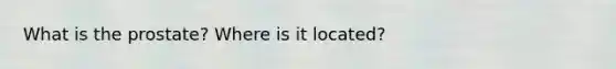 What is the prostate? Where is it located?