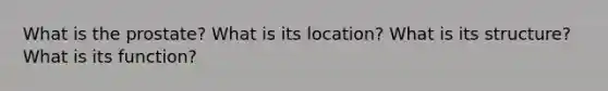 What is the prostate? What is its location? What is its structure? What is its function?