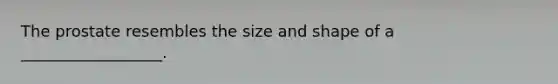 The prostate resembles the size and shape of a __________________.