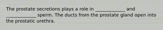 The prostate secretions plays a role in _____________ and _____________ sperm. The ducts from the prostate gland open into the prostatic urethra.