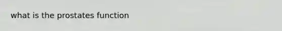 what is the prostates function