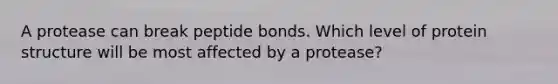 A protease can break peptide bonds. Which level of protein structure will be most affected by a protease?