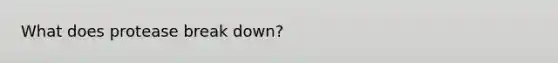 What does protease break down?