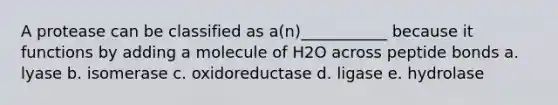 A protease can be classified as a(n)___________ because it functions by adding a molecule of H2O across peptide bonds a. lyase b. isomerase c. oxidoreductase d. ligase e. hydrolase