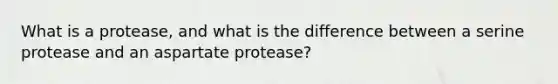 What is a protease, and what is the difference between a serine protease and an aspartate protease?