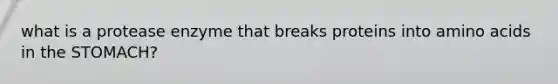 what is a protease enzyme that breaks proteins into amino acids in the STOMACH?
