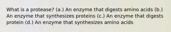 What is a protease? (a.) An enzyme that digests amino acids (b.) An enzyme that synthesizes proteins (c.) An enzyme that digests protein (d.) An enzyme that synthesizes amino acids