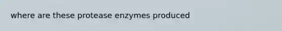 where are these protease enzymes produced