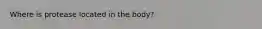 Where is protease located in the body?