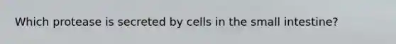 Which protease is secreted by cells in the small intestine?