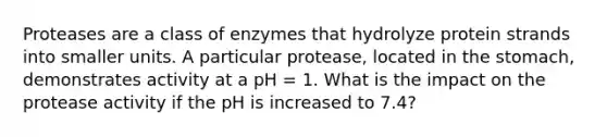 Proteases are a class of enzymes that hydrolyze protein strands into smaller units. A particular protease, located in <a href='https://www.questionai.com/knowledge/kLccSGjkt8-the-stomach' class='anchor-knowledge'>the stomach</a>, demonstrates activity at a pH = 1. What is the impact on the protease activity if the pH is increased to 7.4?