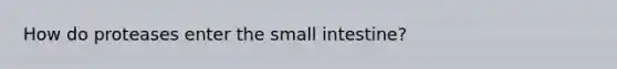 How do proteases enter the small intestine?