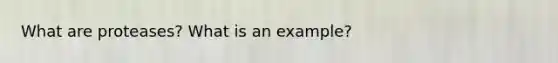 What are proteases? What is an example?