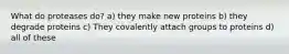 What do proteases do? a) they make new proteins b) they degrade proteins c) They covalently attach groups to proteins d) all of these