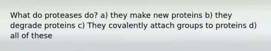 What do proteases do? a) they make new proteins b) they degrade proteins c) They covalently attach groups to proteins d) all of these