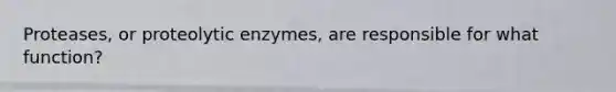 Proteases, or proteolytic enzymes, are responsible for what function?