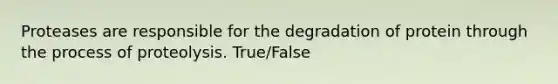 Proteases are responsible for the degradation of protein through the process of proteolysis. True/False