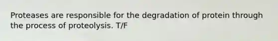 Proteases are responsible for the degradation of protein through the process of proteolysis. T/F