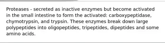 Proteases - secreted as inactive enzymes but become activated in <a href='https://www.questionai.com/knowledge/kt623fh5xn-the-small-intestine' class='anchor-knowledge'>the small intestine</a> to form the activated: carboxypeptidase, chymotrypsin, and trypsin. These enzymes break down large polypeptides into oligopeptides, tripeptides, dipeptides and some <a href='https://www.questionai.com/knowledge/k9gb720LCl-amino-acids' class='anchor-knowledge'>amino acids</a>.