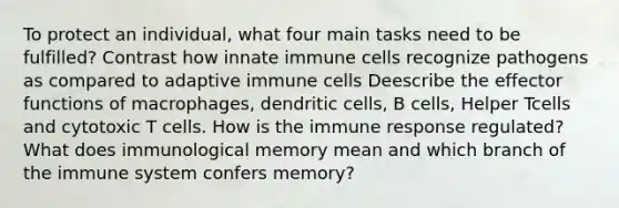 To protect an individual, what four main tasks need to be fulfilled? Contrast how innate immune cells recognize pathogens as compared to adaptive immune cells Deescribe the effector functions of macrophages, dendritic cells, B cells, Helper Tcells and cytotoxic T cells. How is the immune response regulated? What does immunological memory mean and which branch of the immune system confers memory?