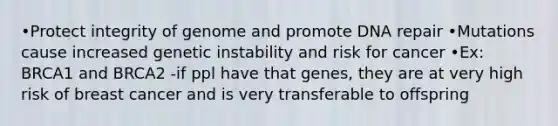 •Protect integrity of genome and promote DNA repair •Mutations cause increased genetic instability and risk for cancer •Ex: BRCA1 and BRCA2 -if ppl have that genes, they are at very high risk of breast cancer and is very transferable to offspring