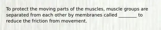 To protect the moving parts of the muscles, muscle groups are separated from each other by membranes called ________ to reduce the friction from movement.