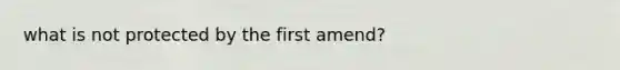 what is not protected by the first amend?