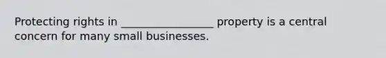 Protecting rights in _________________ property is a central concern for many small businesses.