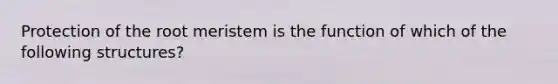 Protection of the root meristem is the function of which of the following structures?