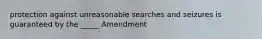 protection against unreasonable searches and seizures is guaranteed by the _____ Amendment