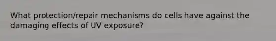 What protection/repair mechanisms do cells have against the damaging effects of UV exposure?