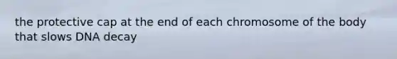 the protective cap at the end of each chromosome of the body that slows DNA decay