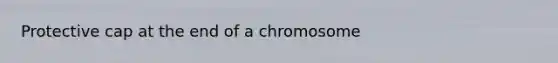 Protective cap at the end of a chromosome