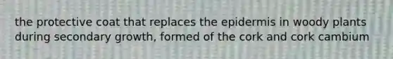 the protective coat that replaces the epidermis in woody plants during secondary growth, formed of the cork and cork cambium