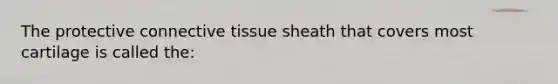 The protective connective tissue sheath that covers most cartilage is called the: