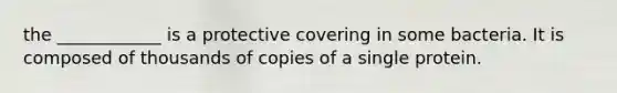 the ____________ is a protective covering in some bacteria. It is composed of thousands of copies of a single protein.