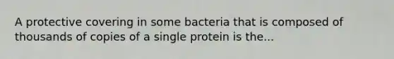 A protective covering in some bacteria that is composed of thousands of copies of a single protein is the...