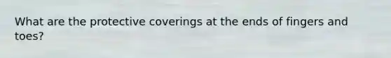 What are the protective coverings at the ends of fingers and toes?