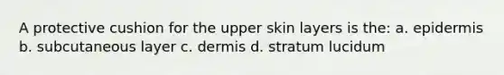 A protective cushion for the upper skin layers is the: a. epidermis b. subcutaneous layer c. dermis d. stratum lucidum