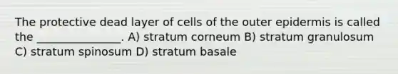 The protective dead layer of cells of the outer epidermis is called the _______________. A) stratum corneum B) stratum granulosum C) stratum spinosum D) stratum basale