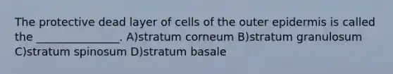 The protective dead layer of cells of the outer epidermis is called the _______________. A)stratum corneum B)stratum granulosum C)stratum spinosum D)stratum basale