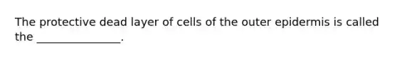 The protective dead layer of cells of the outer epidermis is called the _______________.